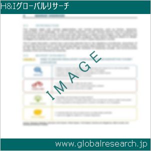 グローバルリサーチ調査レポートのイメージ